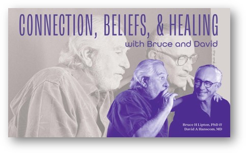 Bruce Lipton page shadow v2